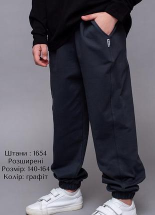 Підліткові спортивні штани. двунитка. графіт. 146-164 hart