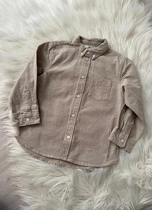 Бавовняна сорочка h&m