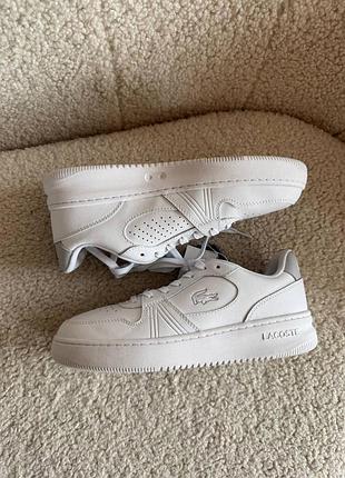 Кросівки lacoste l001 set 224 1 spa