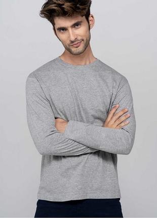 Реглан / лонгслів сірий h&m