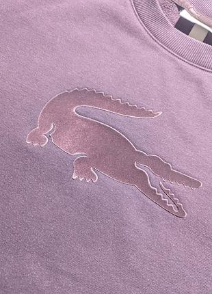 Свитшот lacoste 2