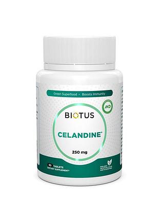 Чистотіл biotus celandine таблетки по 250 мг №90