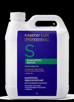 Шампунь відновлювальний для пошкодженого волосся repair master lux (100, 250, 1000, 3000 мл) 3000