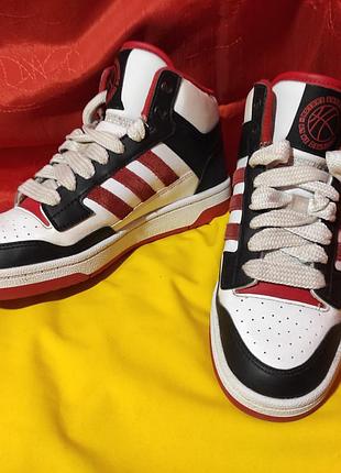 Стильные кроссовки adidas