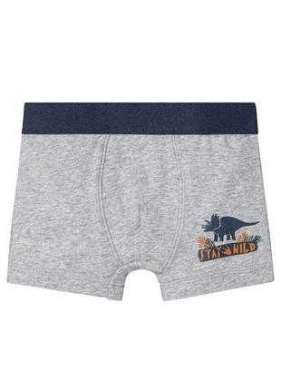 Трусики-боксеры для мальчика lupilu динозавр 387246 098-104 см (2-4 years) серый