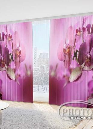 Фото штори "орхідеї малинові" 2,7м*5,0м (2 полотна по 2,5м), тасьма