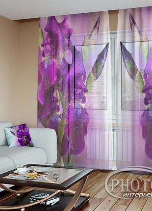 Фото тюль "оксамитові іриси" (2,5 м*3,75 м на довжину карниза 2,5 м)