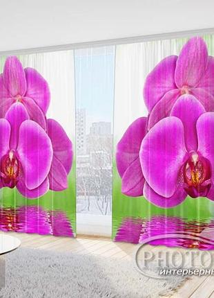 3d фото шторы "малиновая ветка" 2,7м*5,0м (2 полотна по 2,5м), тесьма
