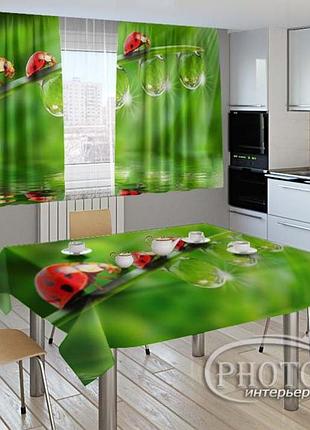 Фото комплект для кухни "божьи коровки"(шторы 2,0м*2,9м; скатерть 1,45м*1,7м)
