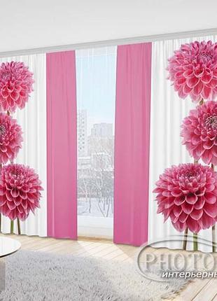 3d фото шторы "аскания" 2,7м*4,0м (2 полотна по 2,0м), тесьма