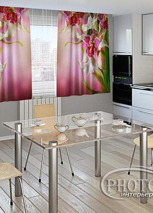 Фото штори для кухні "строкаті орхідеї 2" 2,0м*2,9м (2 полотна по 1,45м), тасьма
