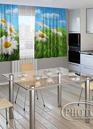 Фото штори для кухні "ромашки в травичці" 2,0м*2,9м (2 полотна по 1,45м), тасьма