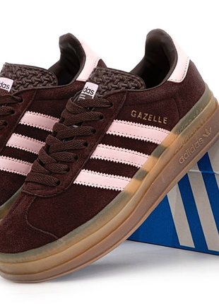 Gazelle bold