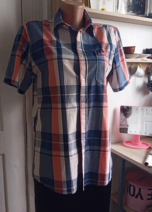 Летняя коттоновая рубашка в клетку lee cooper, since 1908, small, why regular fit