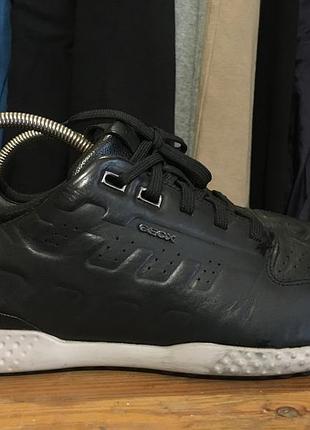 Кросівки geox 2