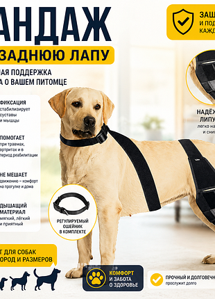 Наколінник бандаж для собак для відновлення суглоба після травм розміри s, m, l