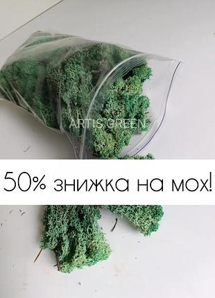 Стабилизированный мох -50% | ликвидация состава (яркая палитра) | зеленый мох | ягель | декор для флористики | материалы для флористики