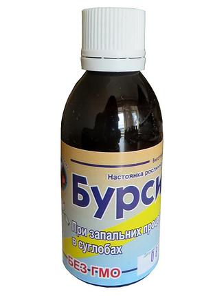 Настоянка бурсина