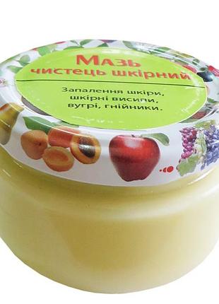 Мазь чистец кожный 100 г