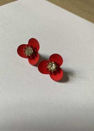 Середки гвоздики червоні квіточки