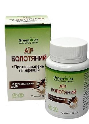 Аир – болотный (60 капсул)