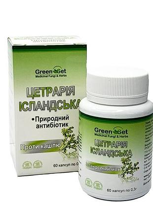 Цетрария исландская (60 капсул)