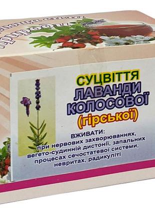 Соцветия лаванды №20 (в пакетиках)