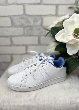 Кеди adidas