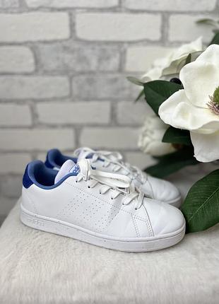 Кеди adidas 3