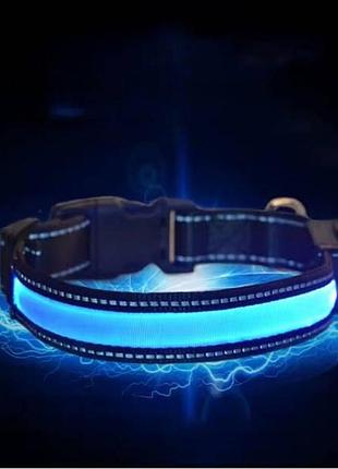 Нашийник для собак світлодіодний led розмір m синій top shop ua_
