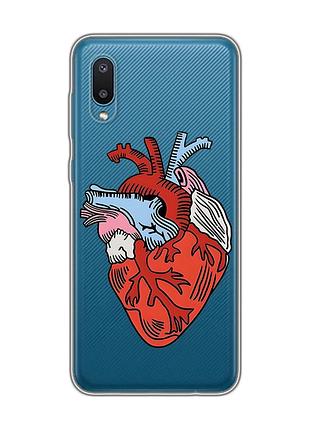Прозрачный чехол на samsung galaxy a02/a022 (2021) :: сердце анатомическое (принт 250)