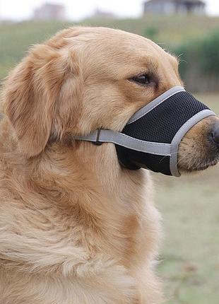 Намордник для собак тканевый pet style "urban" серый 2xl