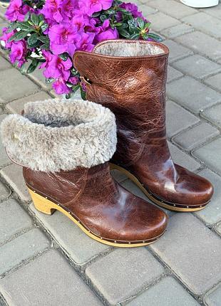 Нові ugg australia lynnea чоботи зимові овчина цегейка оригінал
