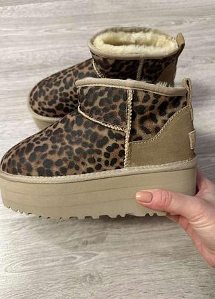 Ugg classic ultra mini platform лео 38 р