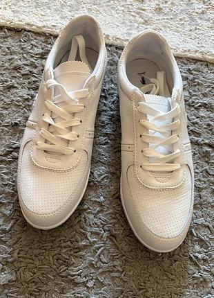 Кросівки, кеди, кроссовки бренда lacoste