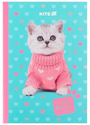 Блокнот kite studio pets sp24-091,а5,40 листів,клітинка