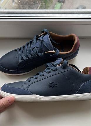 Чоловічі шкіряні кеди темно-сині lacoste
