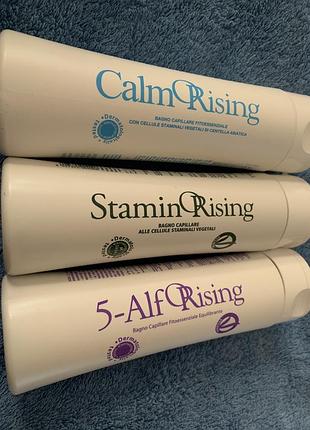 Шампунь orising calm/stamin/5-alf