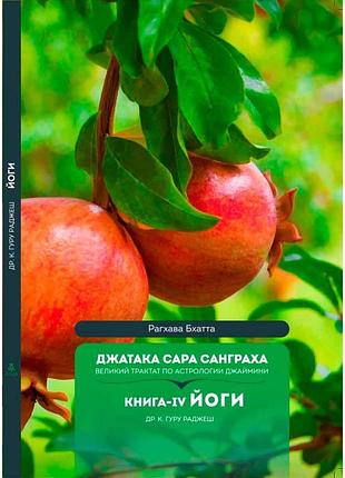 Книга джатака сара санграха. книга 4. йоги. раджеш гуру