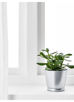 Цветочный горшок bintje ikea 803.341.27