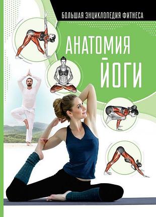 Книга анатомия йоги. степук н., хомич е. bm