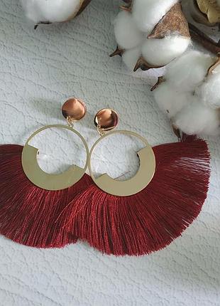 Сережки пензлика