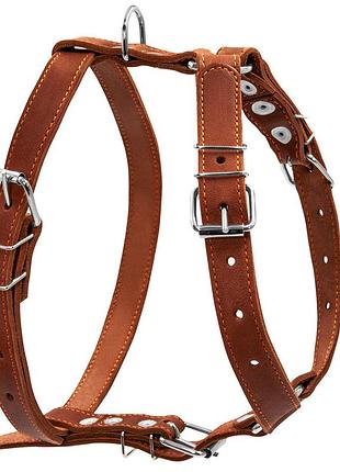 Шлея "collar" одинарная для средних собак (ширина 25мм, а:49-68см, в:68-80см) коричневый