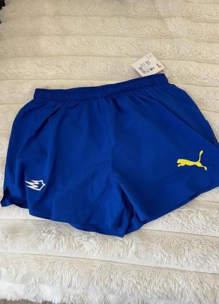 Спортивні шорти puma ukraine