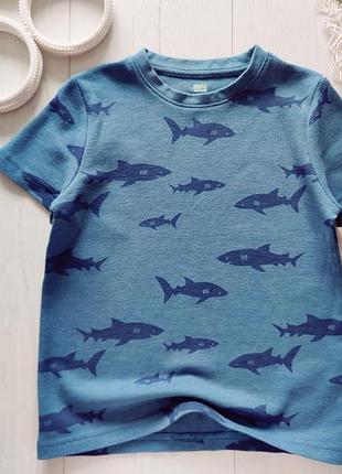5,6 лет, рост 116 фактурная футболка в акулах antony morato (антоны морато) артикул 26763