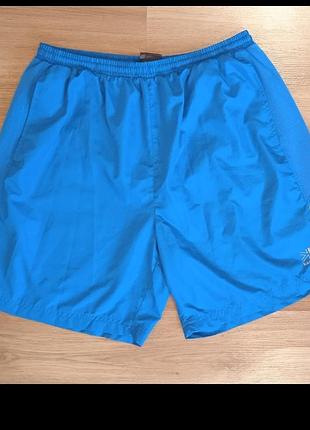 Шорти karrimor run