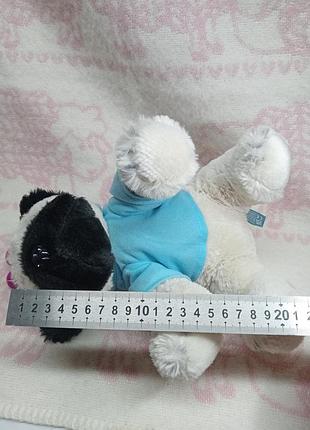 Мопсик в костюмі 9