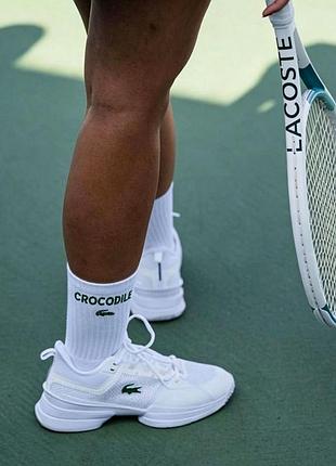 Шкарпетки lacoste