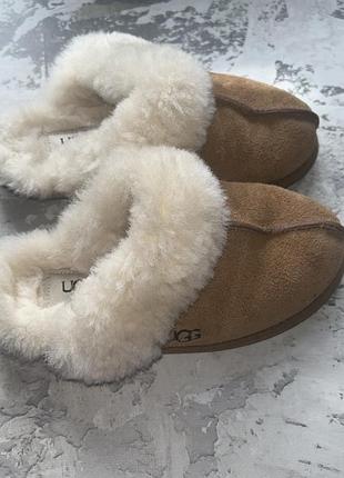 Домашні тапочки ugg оригінал