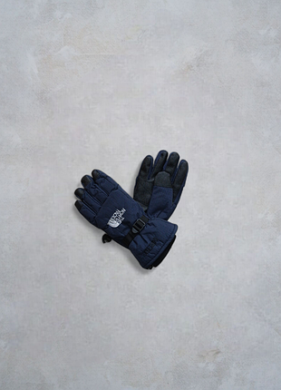 Рукавиці the north face × patagonia